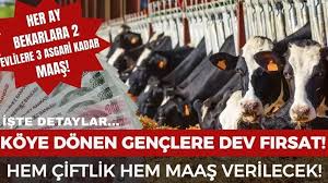 Köye Dönene 3 Asgari Ücret Maaş! Gençlere Tarım ve Hayvancılıkta Yeni Dönem Başlıyor